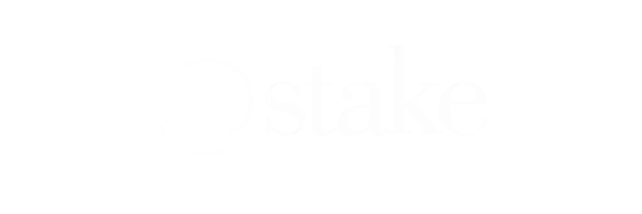 application security experts at stake logo
