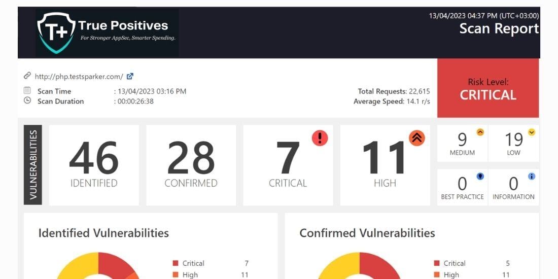 T+ sample report report feb 2025 